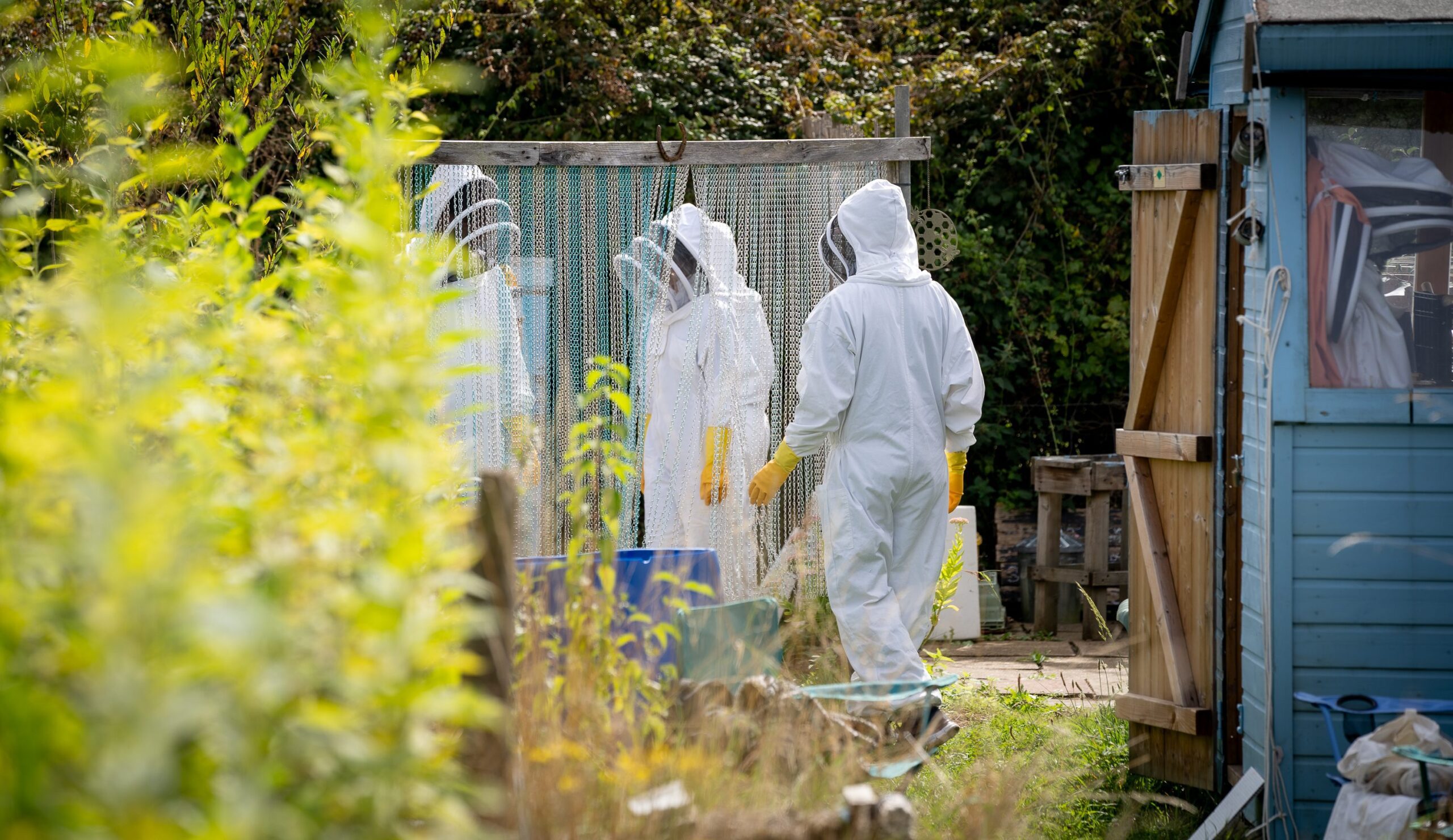 Hive Helpers