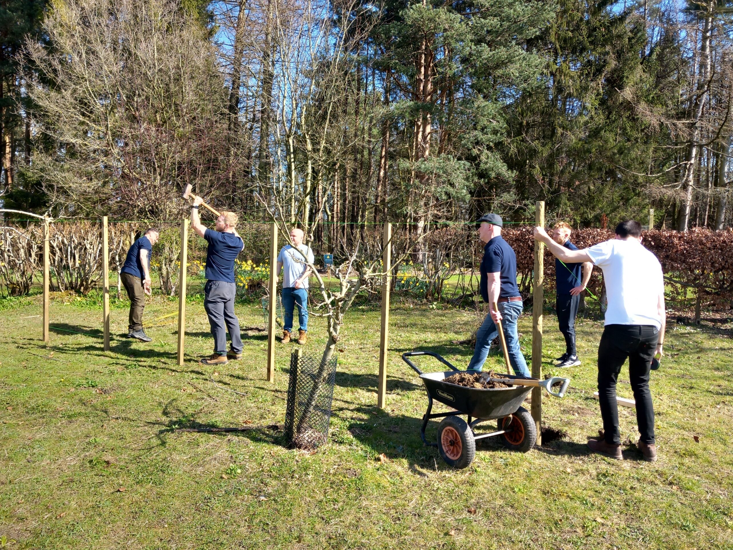 Ripon Walled Garden Volunteering