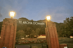 Light up the Domain entrance