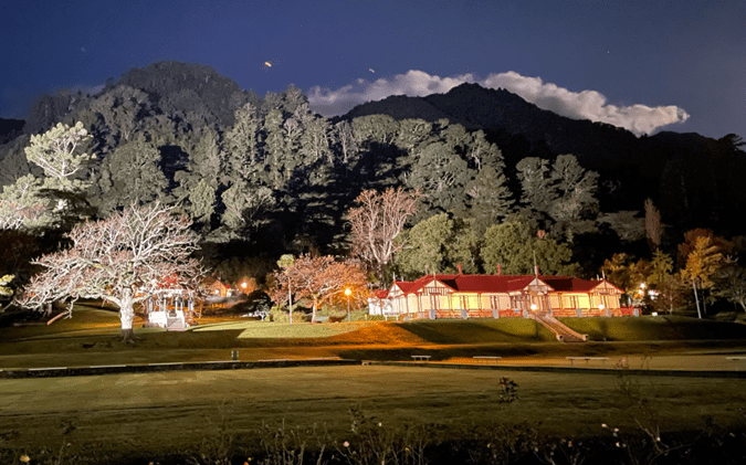 Light up the Domain overview