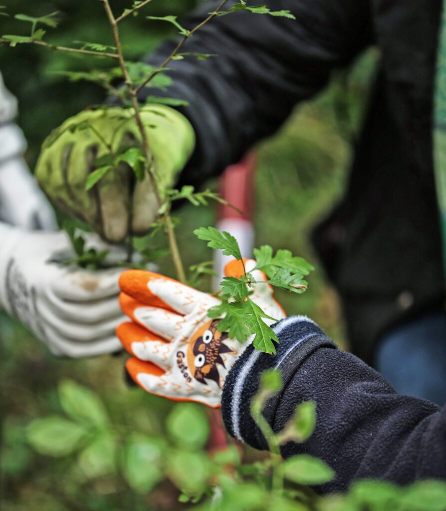 Community funds graphic supporting environment initiatives